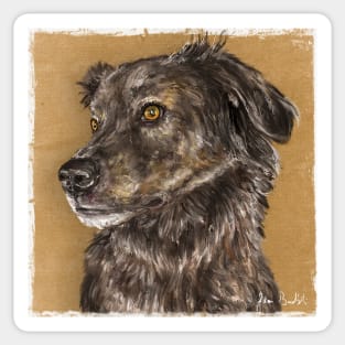 Painting of a Cute Furry Brown Dutch Shepherd Dog Sticker